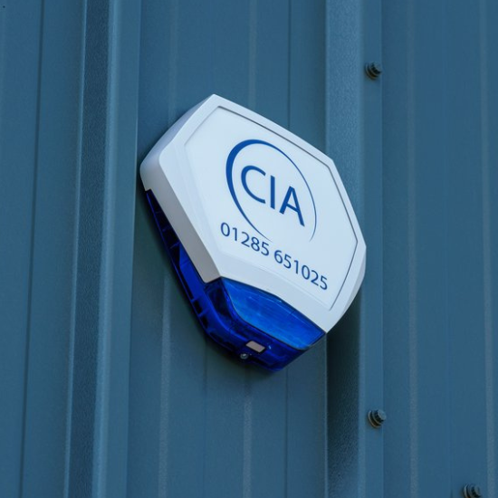 Untitled design (61)